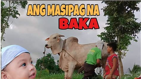 pasakay meaning